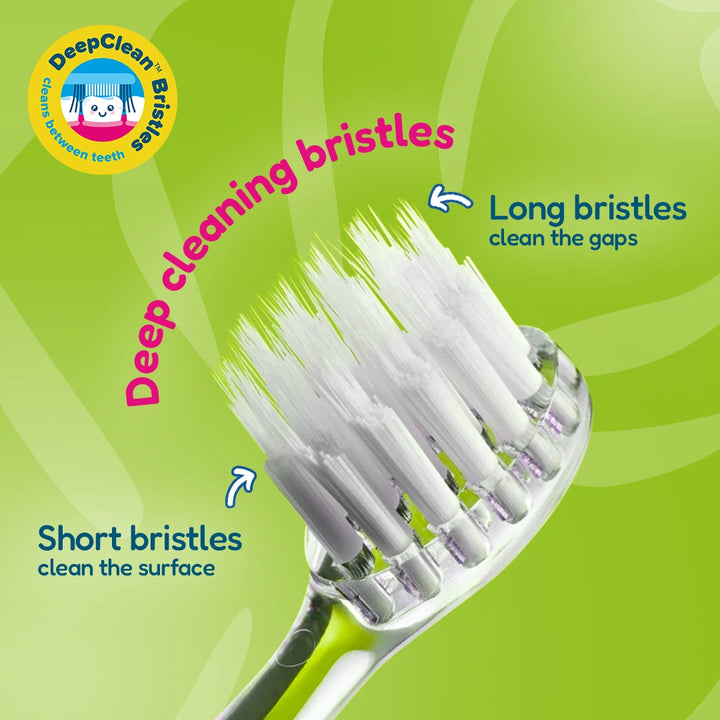 WildOnes™ Replacement Toothbrush Heads - Pack of 6