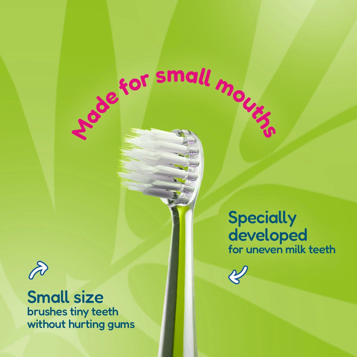 WildOnes™ Replacement Toothbrush Heads - Pack of 6