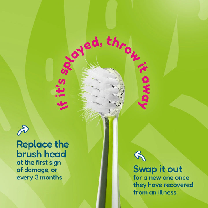 WildOnes™ Replacement Toothbrush Heads - Pack of 6